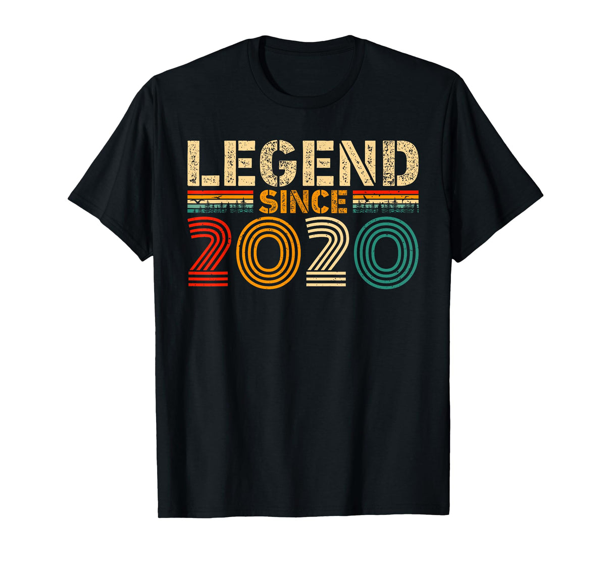 Legend Since 2020 Vintage Birthday Year 2020 Men Women Retro T-Shirt