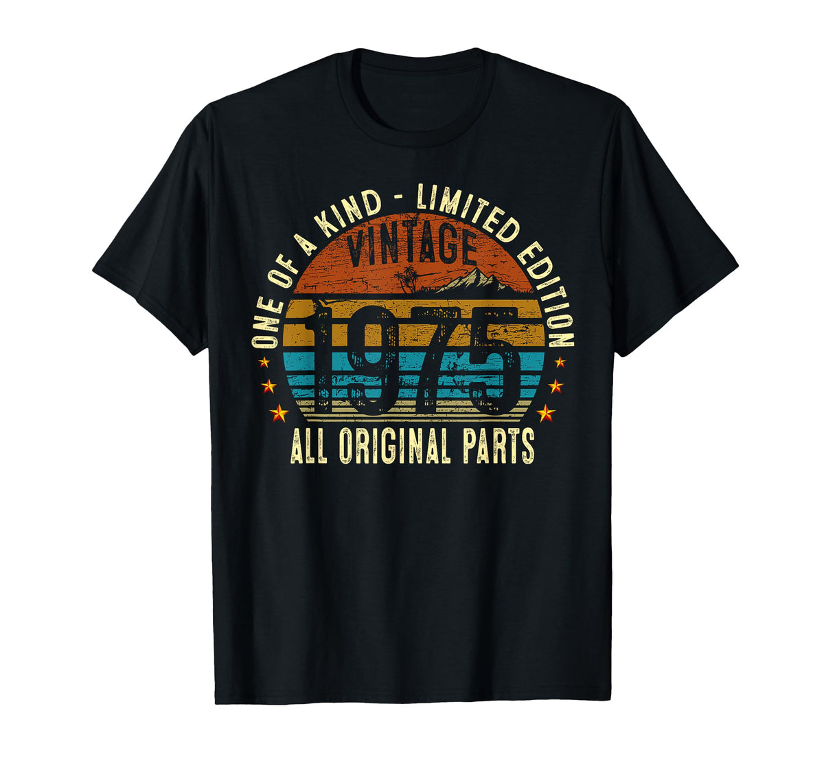 Vintage 1975 50 Years Old Men Women 50th Birthday Gifts T-Shirt